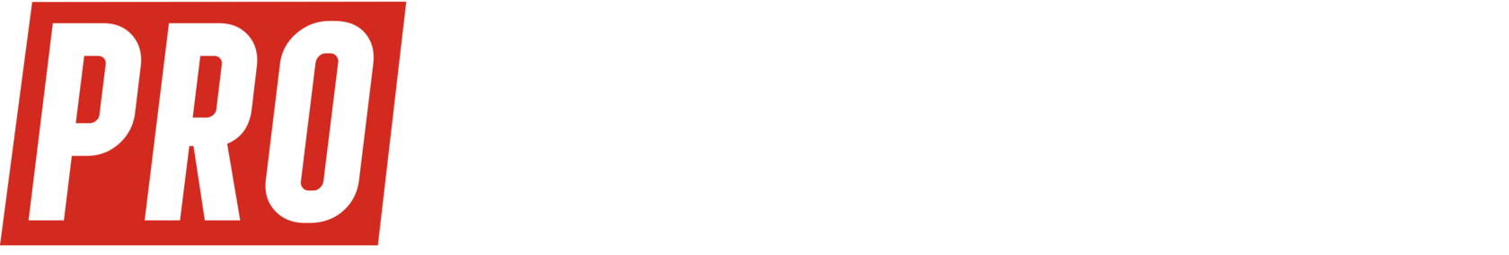 PRO Transportas logo
