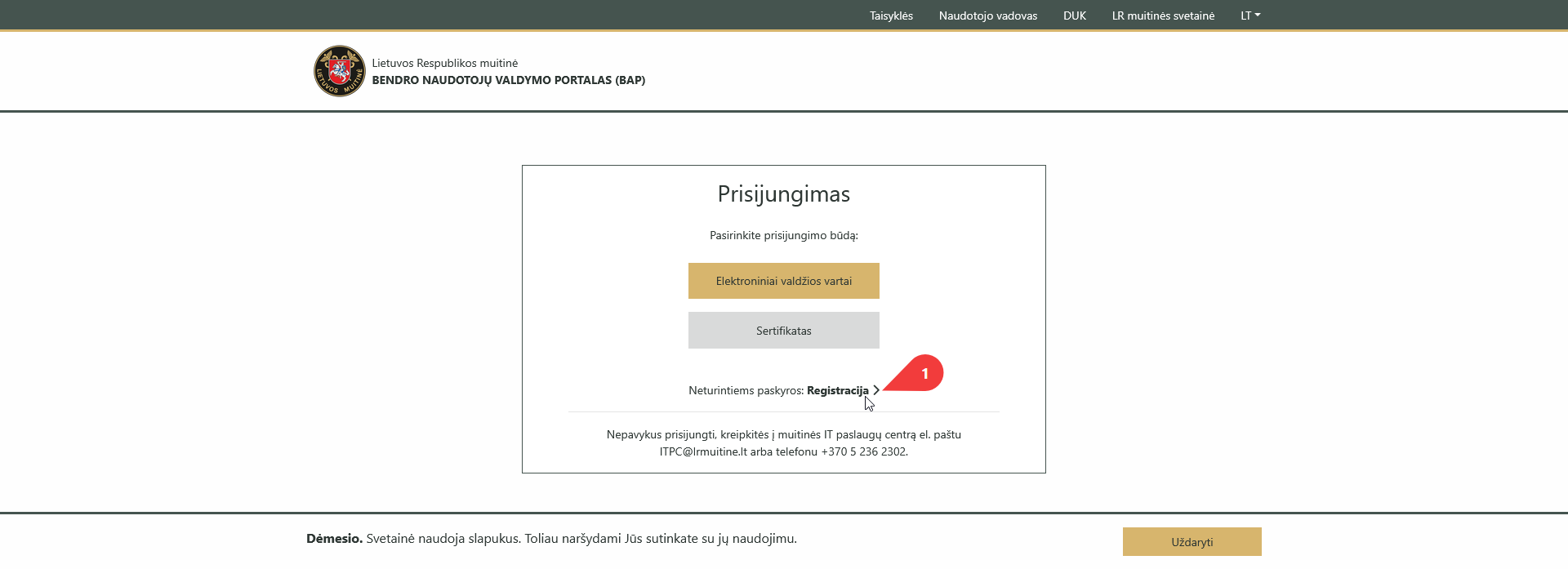 registracijos pasirinkimas