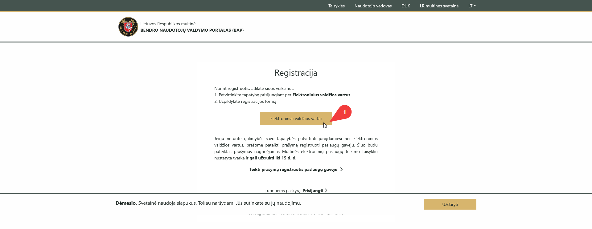 tapatybės patvirtinimas per Elektroninius valdžios vartus